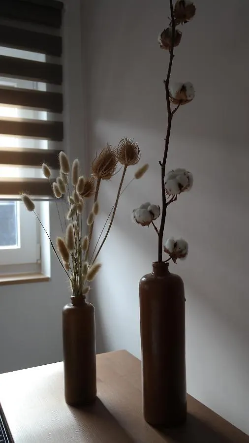 The Rooftop - A Trendy New Apartment With Airconditioning, Large Terrace & Free Parking أوستيند